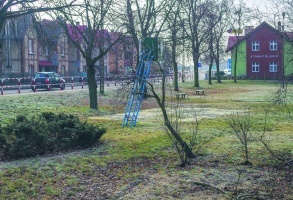 Miasto planuje budowę stref dla aktywnych