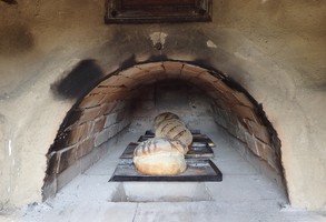 Chleb z pieca i miód z miejskiej pasieki (zdjęcia)