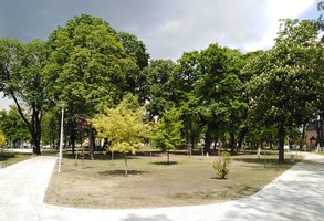 Park Jonstona jeszcze nie teraz (zdjęcia)