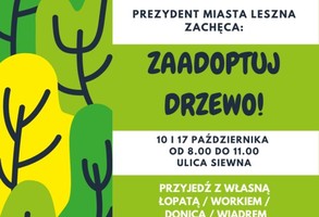 Każdy może zaadoptować drzewo