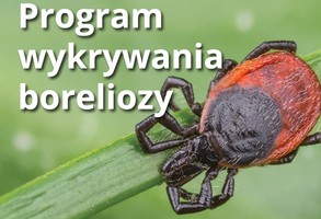 Badania w kierunku boreliozy