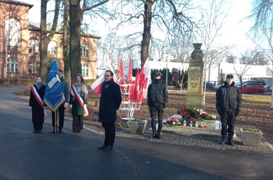 Obchody 105. rocznicy wybuchu Powstania Wielkopolskiego (zdjęcia)