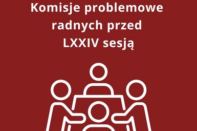 Komisje problemowe radnych przed sesją