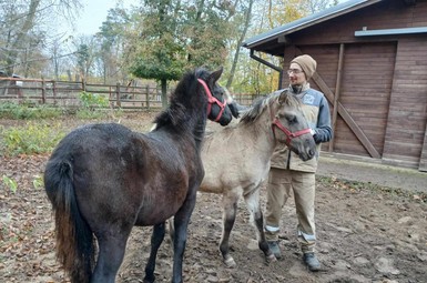 Nowi mieszkańcy w w Mini Zoo w Lesznie