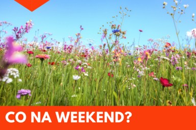 Co na weekend 13 - 15 czerwca?