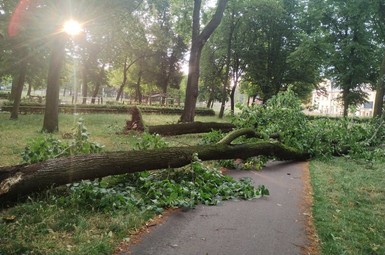 Sprzątanie po czwartkowej burzy w Lesznie