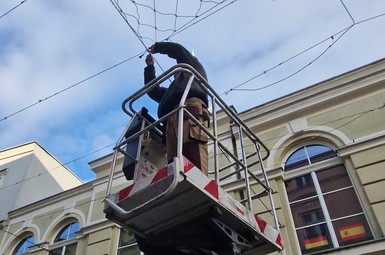 Trwa montaż iluminacji świątecznych w Lesznie