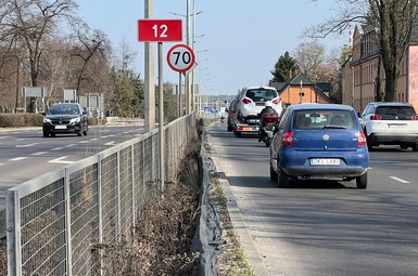 Prace pielęgnacyjne na Alejach Jana Pawła II w Lesznie 