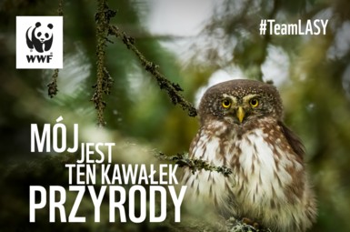 Godzina dla Ziemi 