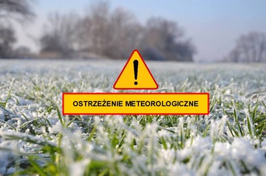 Prognozowane przymrozki!