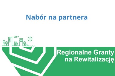 Nabór na partnera projektu 