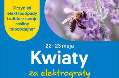 Kwiaty za elektrograty