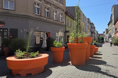 Donice na Wolności (zdjęcia)