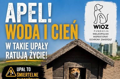 Upały - zwięrzęta - reagujmy - informujmy