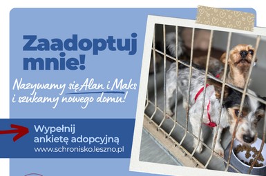 Alan i Maks szukają rodziny